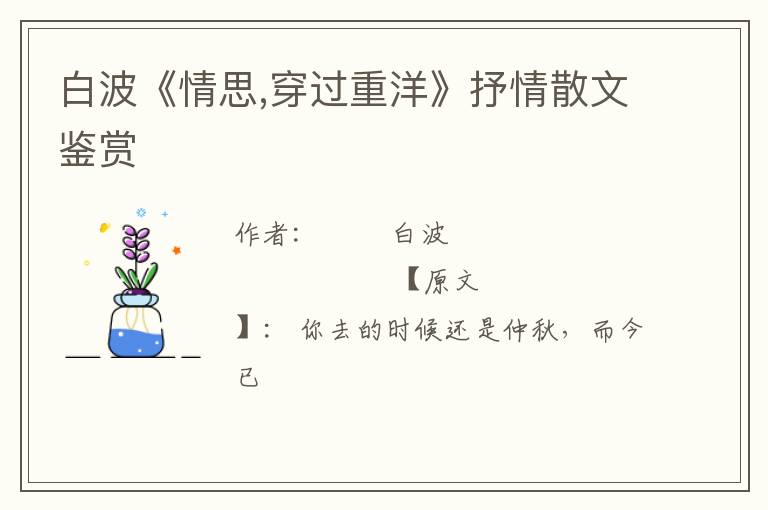 白波《情思,穿过重洋》抒情散文鉴赏