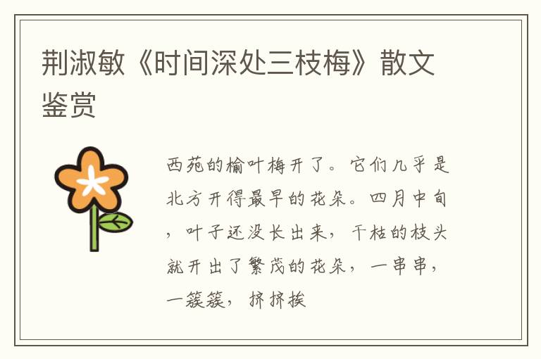  荆淑敏《时间深处三枝梅》散文鉴赏