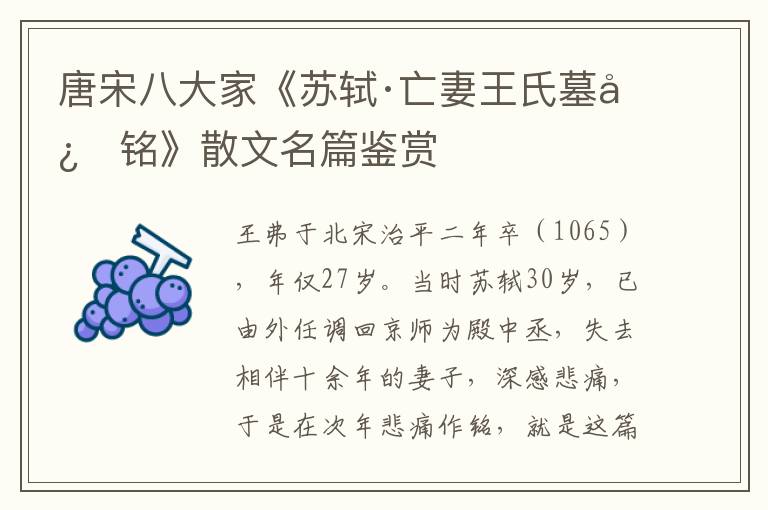  唐宋八大家《苏轼·亡妻王氏墓志铭》散文名篇鉴赏