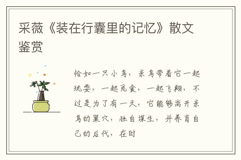  采薇《装在行囊里的记忆》散文鉴赏