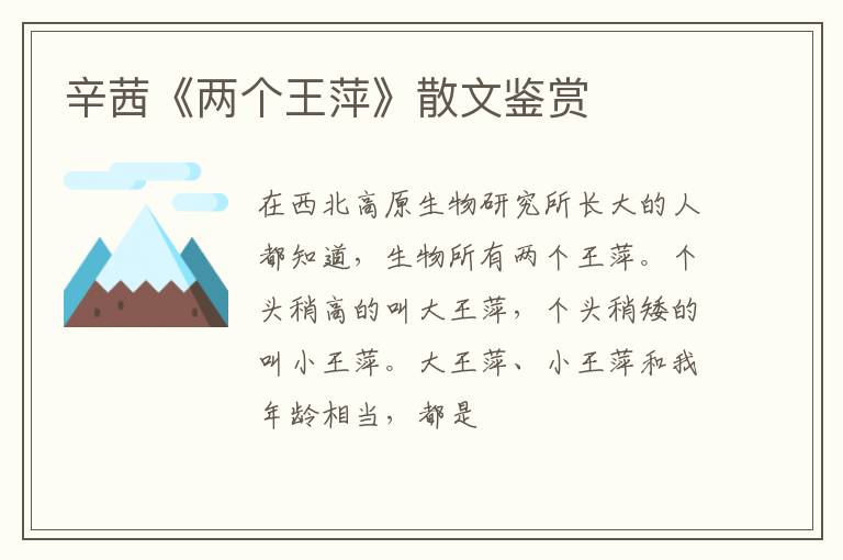  辛茜《两个王萍》散文鉴赏