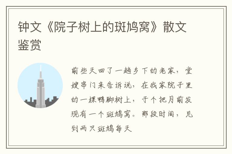  钟文《院子树上的斑鸠窝》散文鉴赏