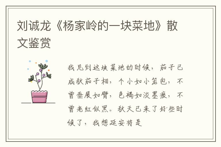  刘诚龙《杨家岭的一块菜地》散文鉴赏