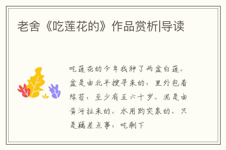  老舍《吃莲花的》作品赏析|导读