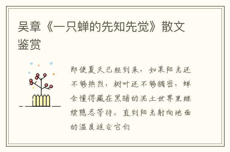  吴章《一只蝉的先知先觉》散文鉴赏