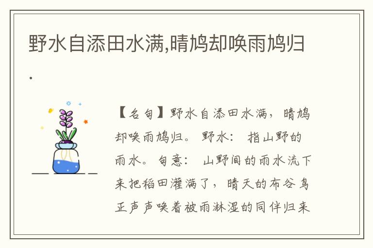  野水自添田水满,晴鸠却唤雨鸠归.
