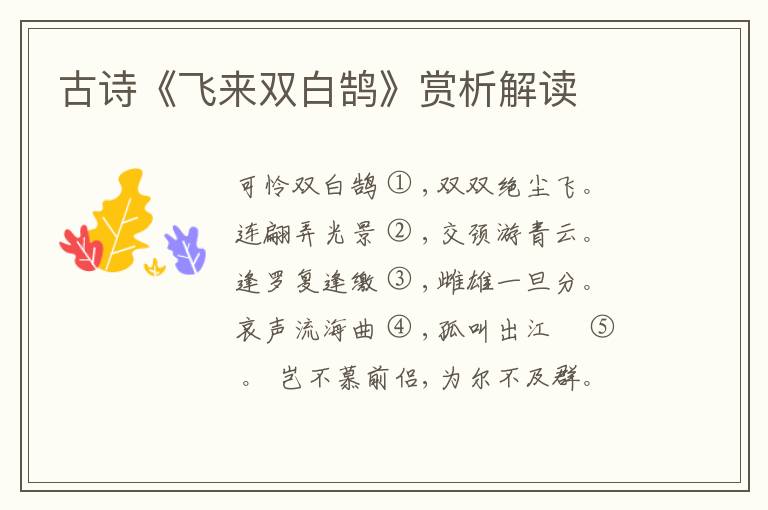  古诗《飞来双白鹄》赏析解读