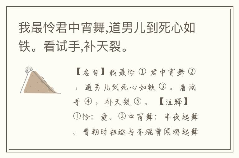  我最怜君中宵舞,道男儿到死心如铁。看试手,补天裂。