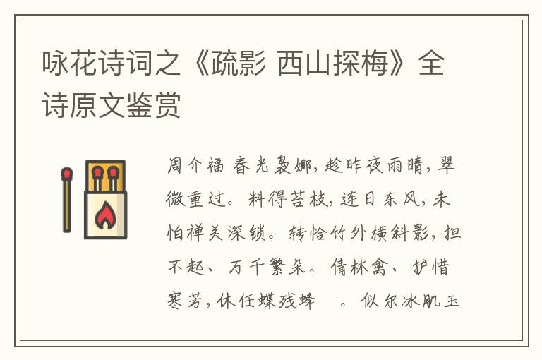  咏花诗词之《疏影 西山探梅》全诗原文鉴赏