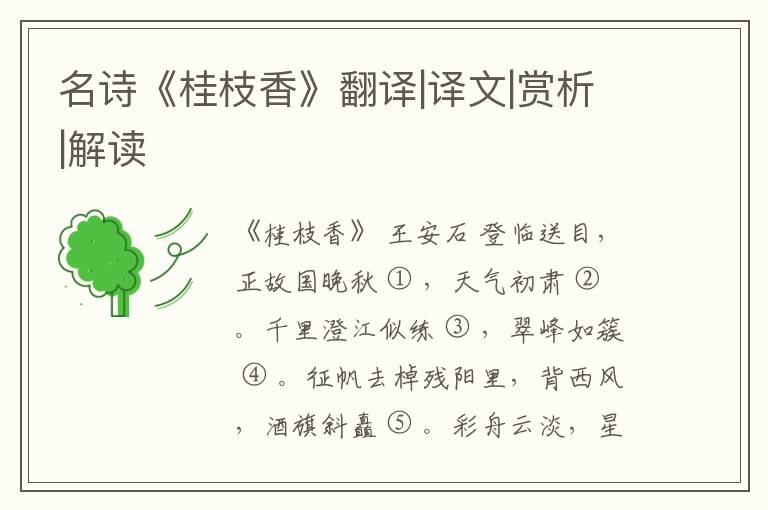  名诗《桂枝香》翻译|译文|赏析|解读
