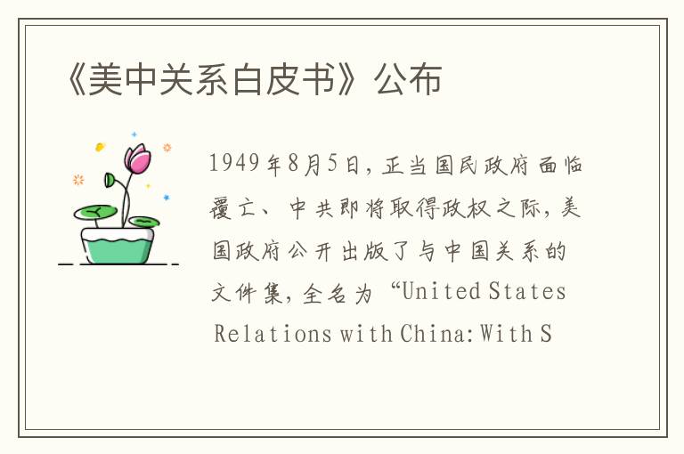 《美中关系白皮书》公布