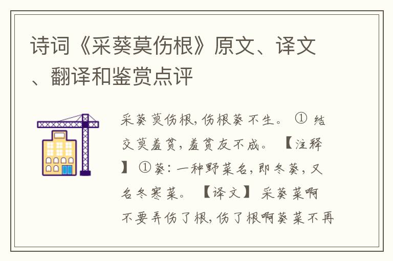  诗词《采葵莫伤根》原文、译文、翻译和鉴赏点评