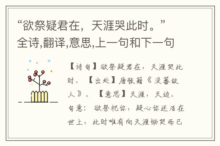 “欲祭疑君在,天涯哭此时。”全诗,翻译,意思,上一句和下一句
