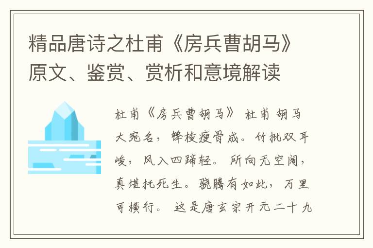  精品唐诗之杜甫《房兵曹胡马》原文、鉴赏、赏析和意境解读