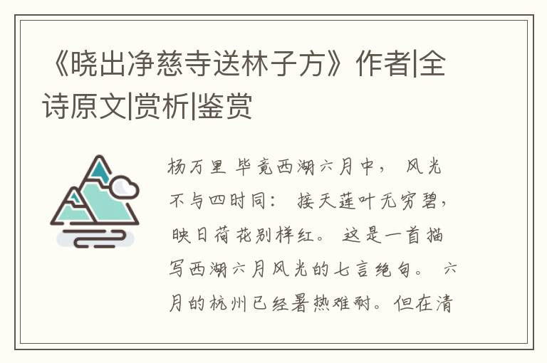  《晓出净慈寺送林子方》作者|全诗原文|赏析|鉴赏