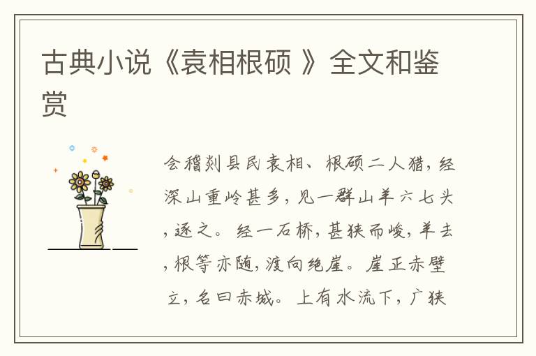  古典小说《袁相根硕 》全文和鉴赏
