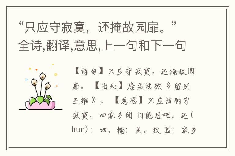 “只应守寂寞,还掩故园扉。”全诗,翻译,意思,上一句和下一句