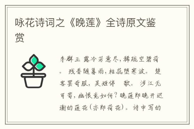  咏花诗词之《晚莲》全诗原文鉴赏