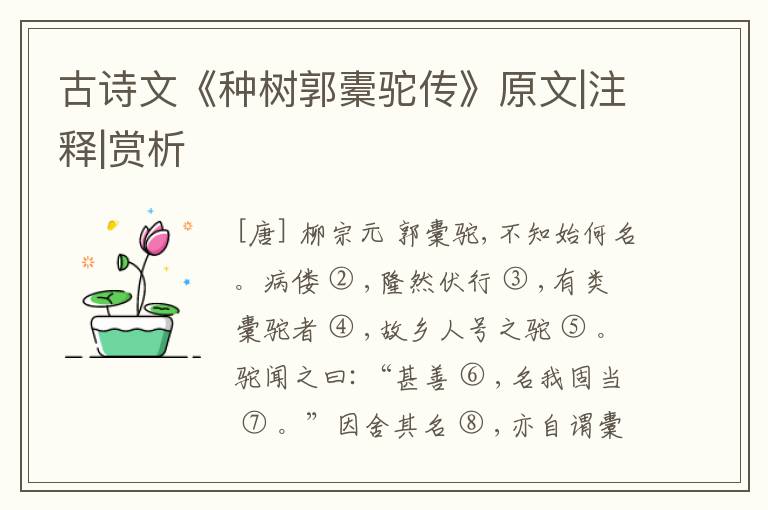  古诗文《种树郭橐驼传》原文|注释|赏析