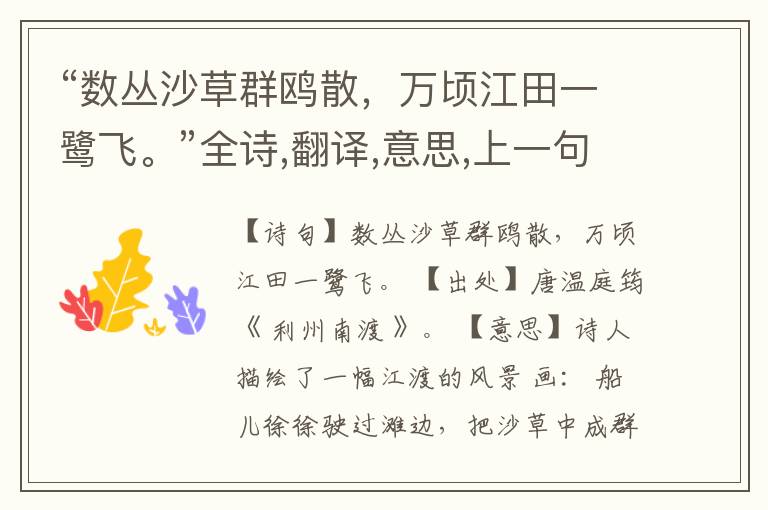  “数丛沙草群鸥散，万顷江田一鹭飞。”全诗,翻译,意思,上一句和下一句