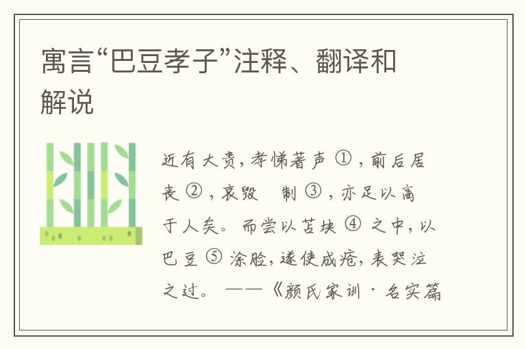  寓言“巴豆孝子”注释、翻译和解说