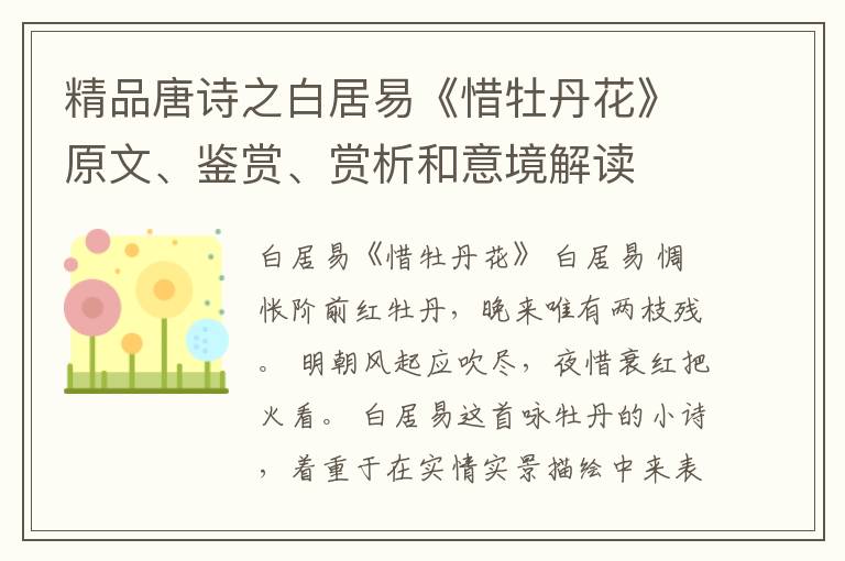  精品唐诗之白居易《惜牡丹花》原文、鉴赏、赏析和意境解读