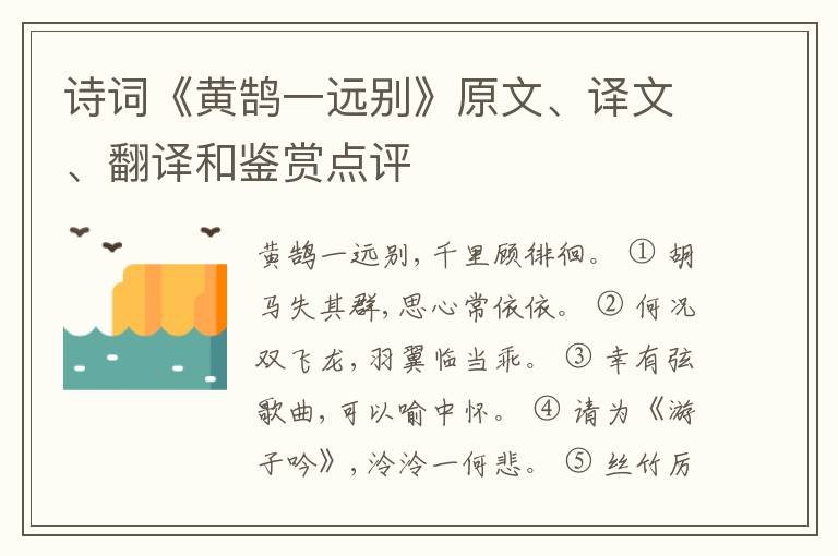  诗词《黄鹄一远别》原文、译文、翻译和鉴赏点评