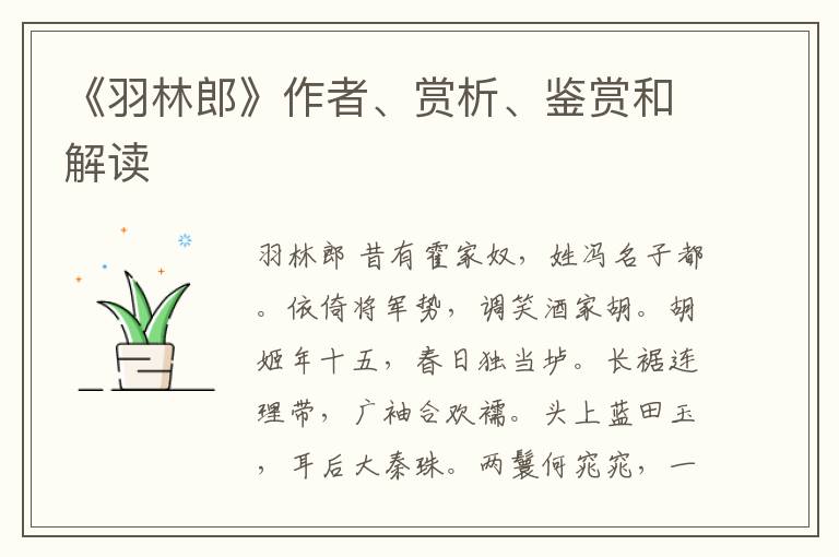  《羽林郎》作者、赏析、鉴赏和解读