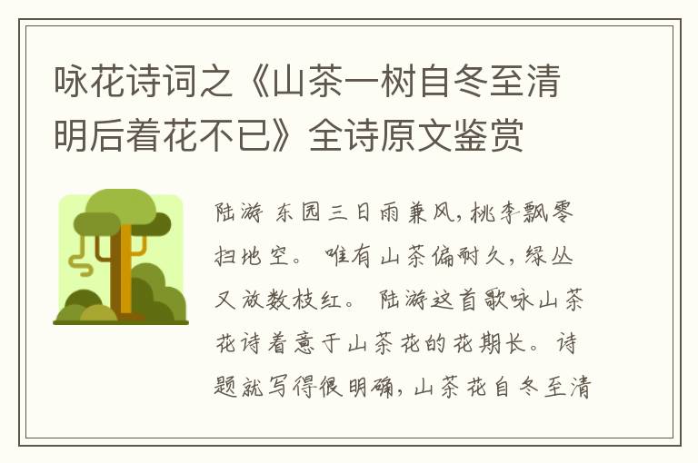  咏花诗词之《山茶一树自冬至清明后着花不已》全诗原文鉴赏