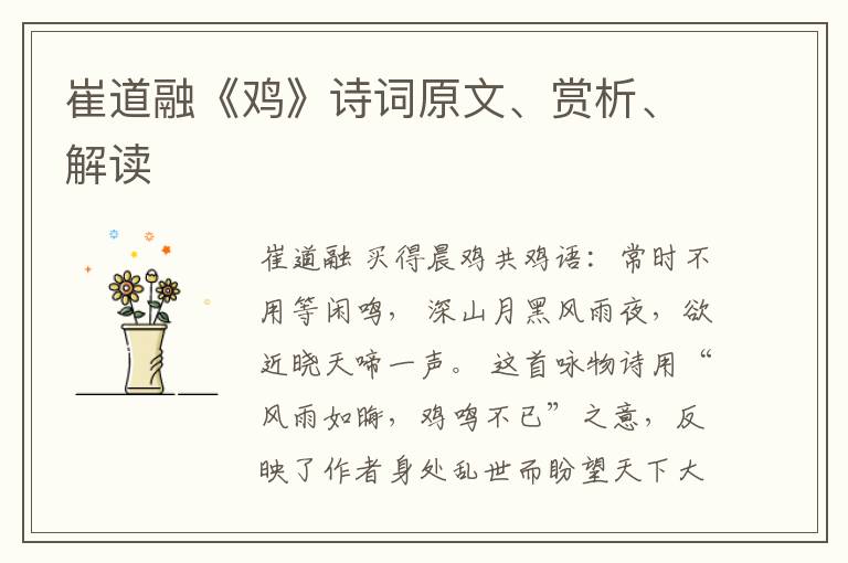  崔道融《鸡》诗词原文、赏析、解读