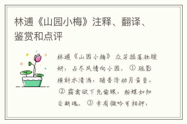  林逋《山园小梅》注释、翻译、鉴赏和点评
