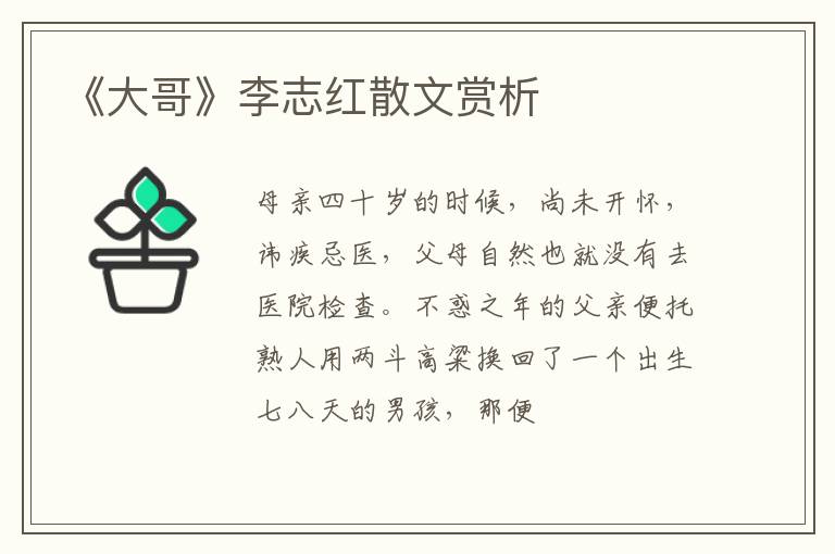  《大哥》李志红散文赏析