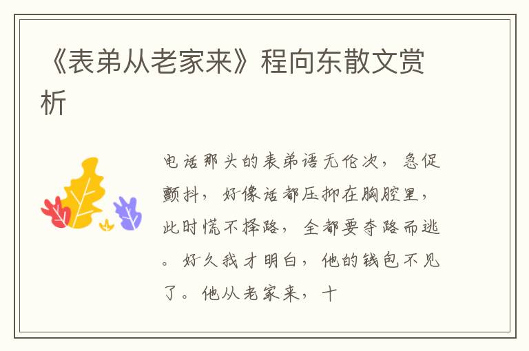  《表弟从老家来》程向东散文赏析