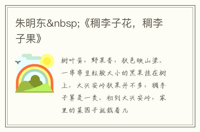  朱明东 《稠李子花，稠李子果》