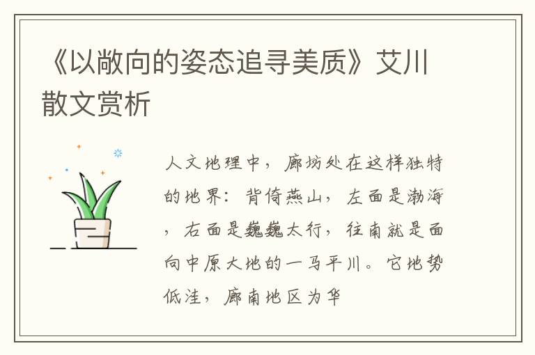  《以敞向的姿态追寻美质》艾川散文赏析