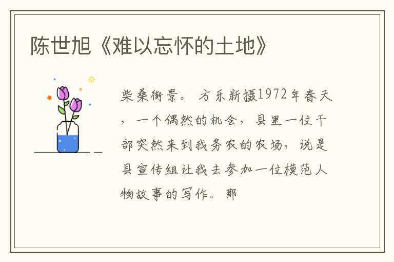  陈世旭《难以忘怀的土地》