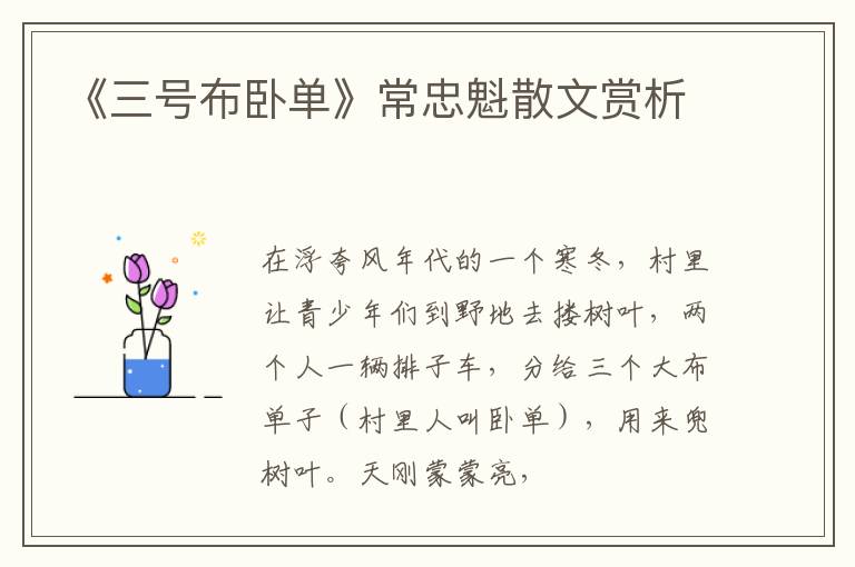  《三号布卧单》常忠魁散文赏析