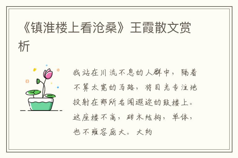  《镇淮楼上看沧桑》王霞散文赏析