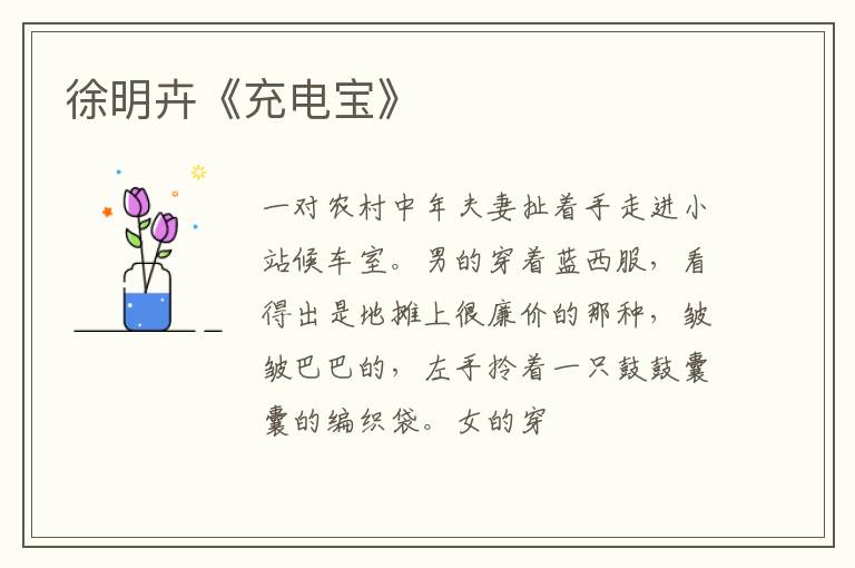  徐明卉《充电宝》
