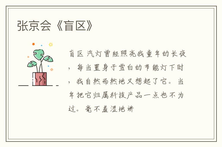 张京会《盲区》