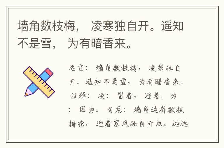  墙角数枝梅， 凌寒独自开。遥知不是雪， 为有暗香来。