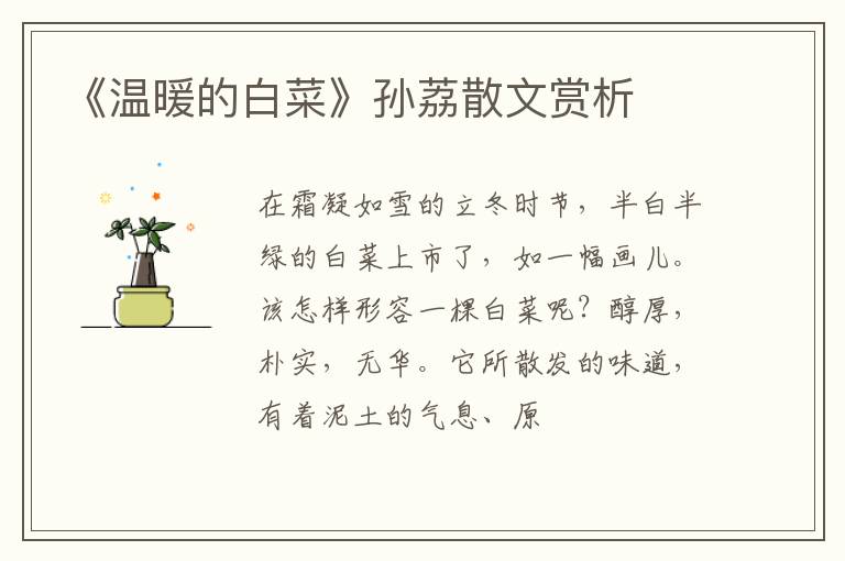  《温暖的白菜》孙荔散文赏析