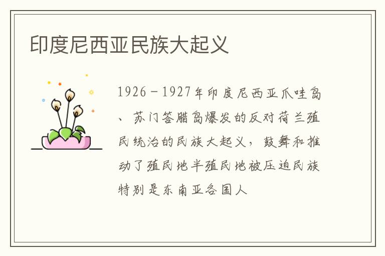  印度尼西亚民族大起义