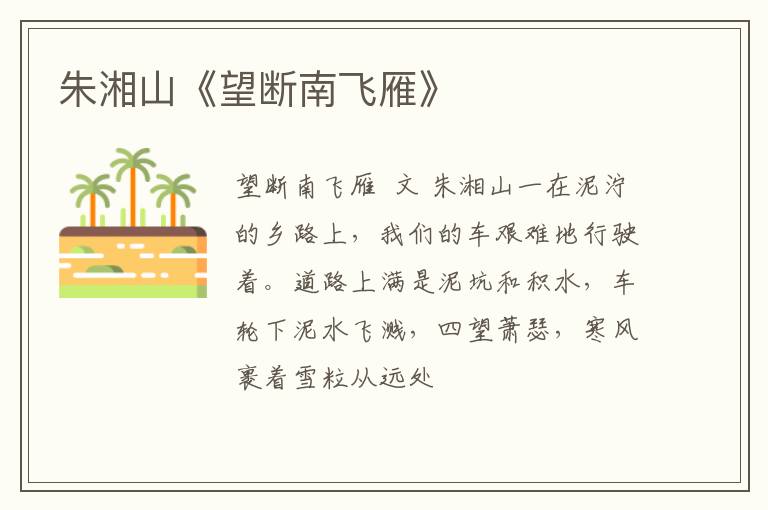  朱湘山《望断南飞雁》