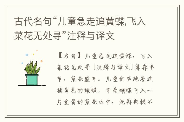  古代名句“儿童急走追黄蝶,飞入菜花无处寻”注释与译文