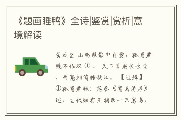  《题画睡鸭》全诗|鉴赏|赏析|意境解读
