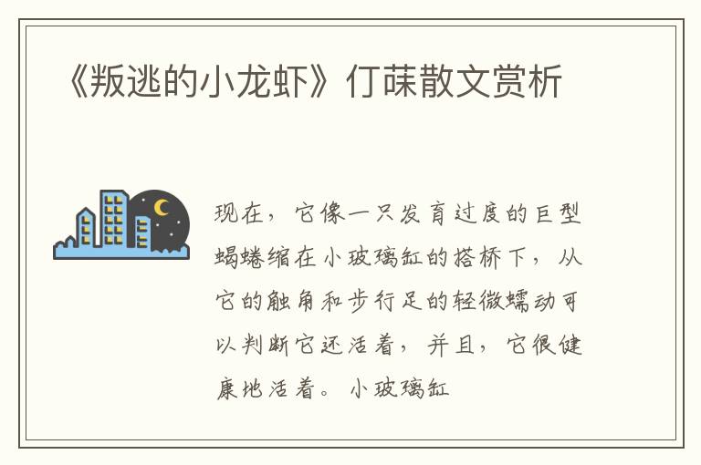  《叛逃的小龙虾》仃菋散文赏析