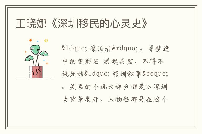  王晓娜《深圳移民的心灵史》