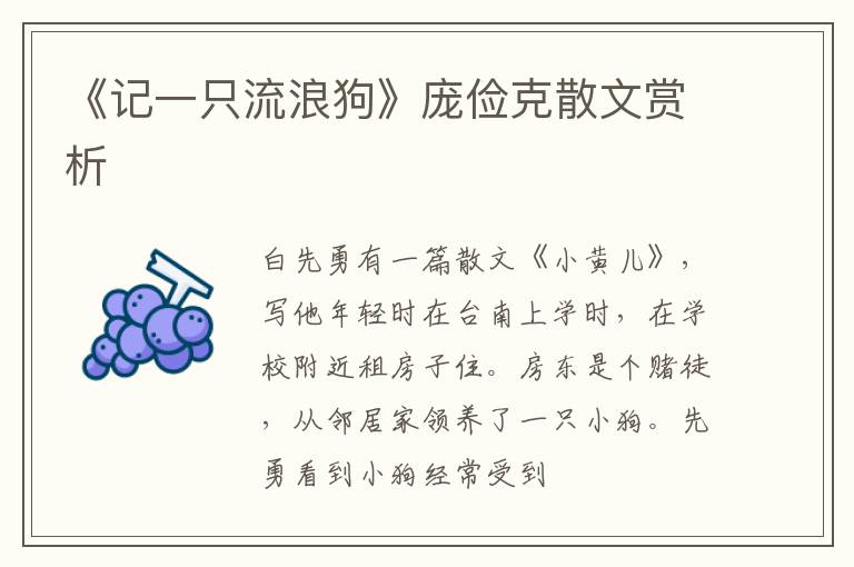  《记一只流浪狗》庞俭克散文赏析