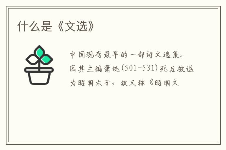  什么是《文选》